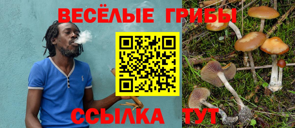Трёхгорный  Галлюциногенные грибы Psilocybe  Вход с VPN  Галлюциногенные грибы Psilocybine cubensis 